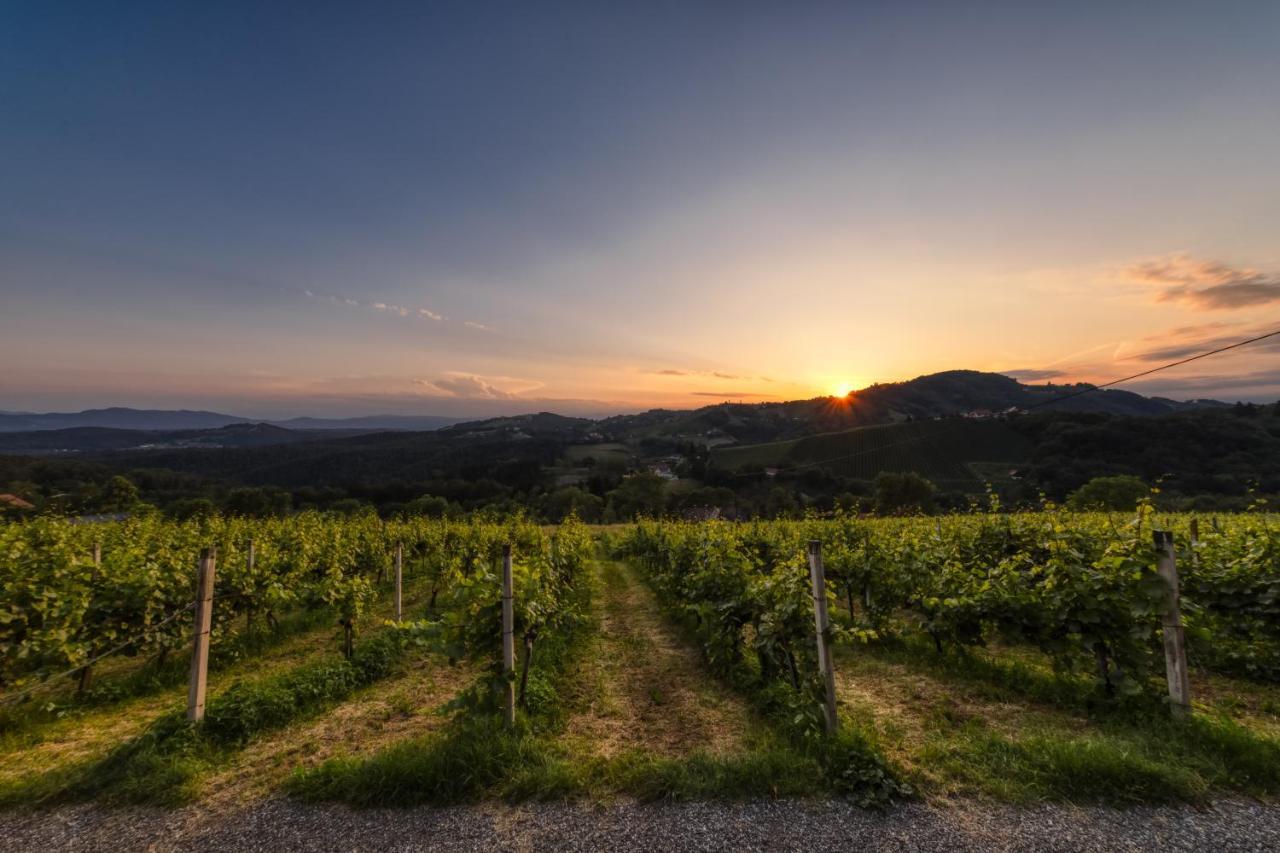 Weingut Reiterer Hotel Kitzeck im Sausal Exterior foto